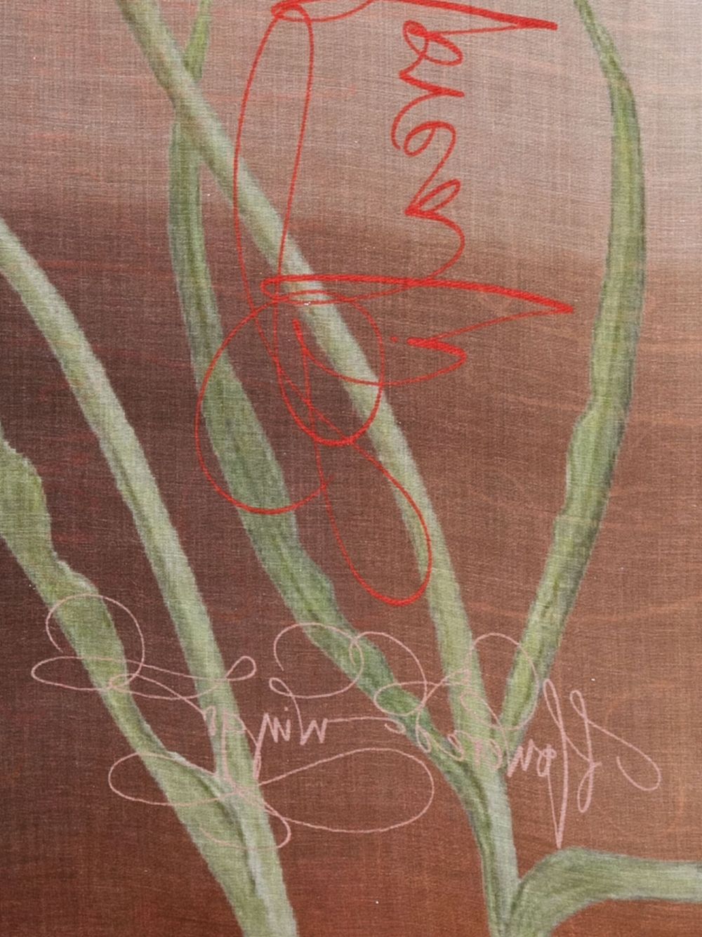 Faliero Sarti Women's Scarfs Multicolour