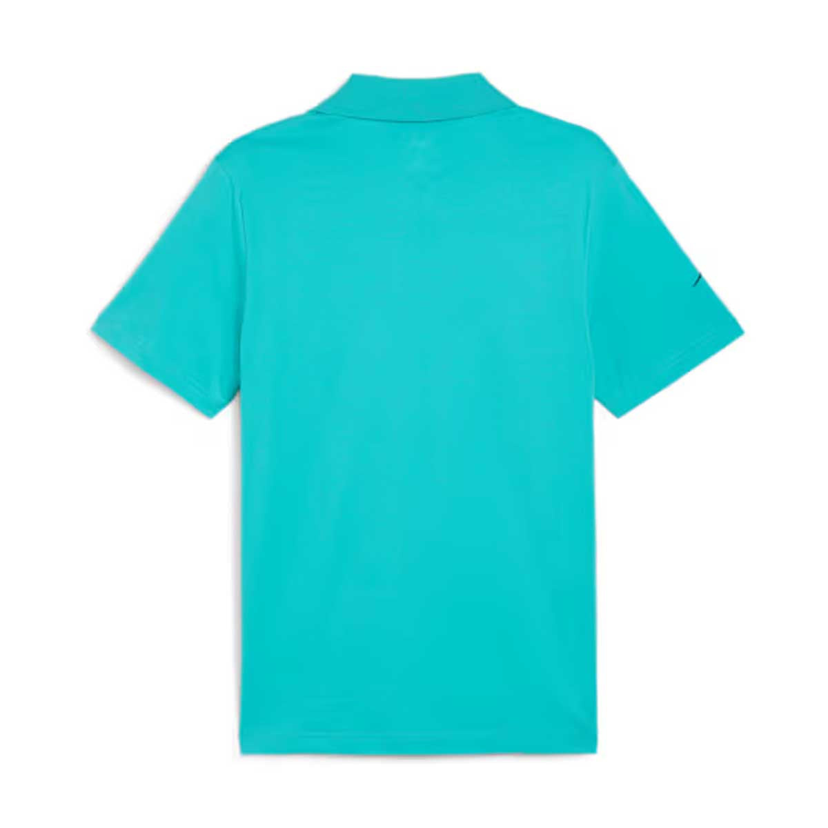 + Mercedes-AMG PETRONAS F1 Tee 'Sheen Green'