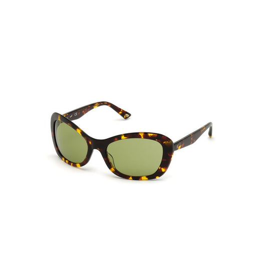 WEB EYEWEAR Brown Plastic Women's Sunglasses