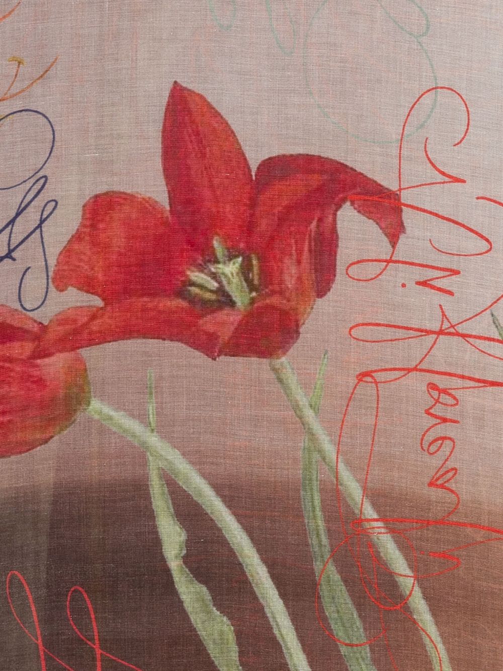 Faliero Sarti Women's Scarfs Multicolour