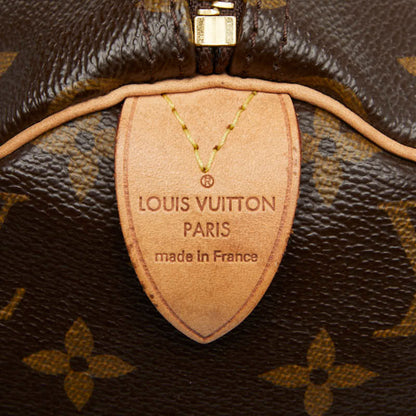 Louis Vuitton Brown Pvc Leather Handbag (Pre-Owned)