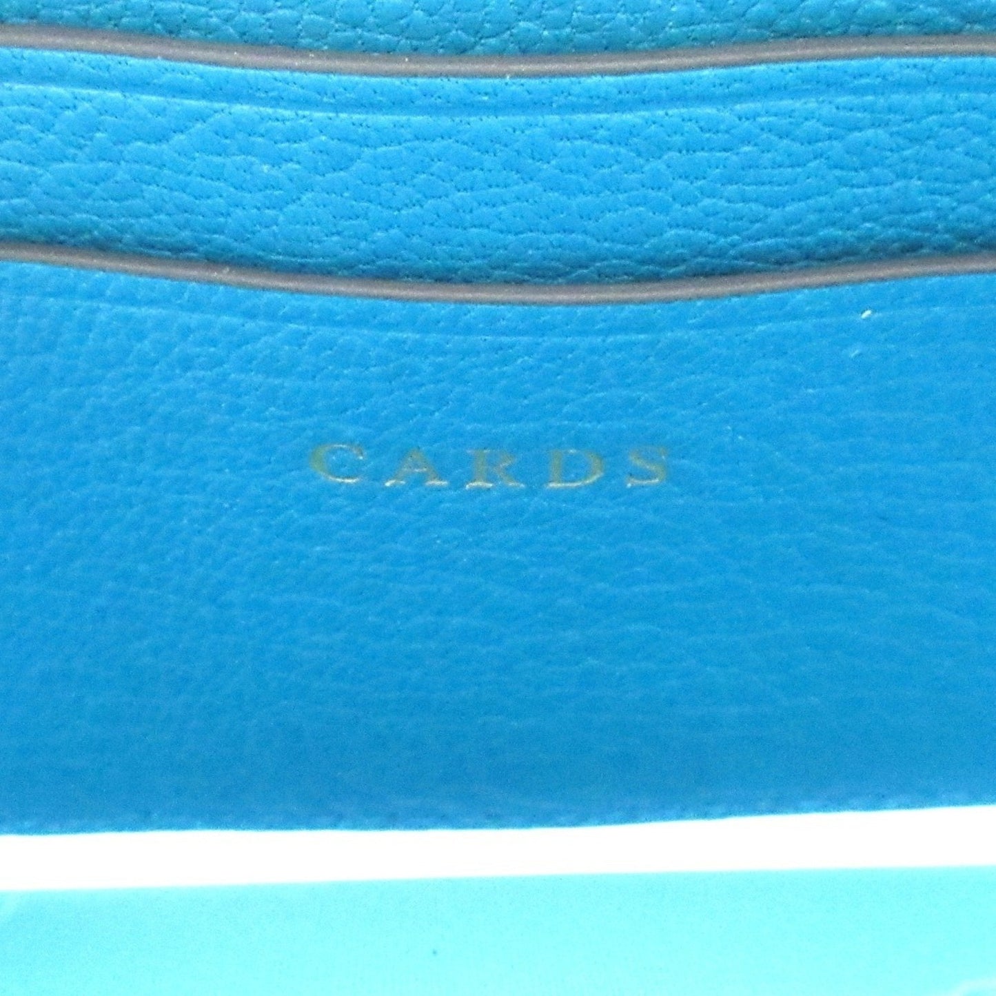 Anya Hindmarch Blue Pochette Pouch Shoulder Bag (Pre-Owned)