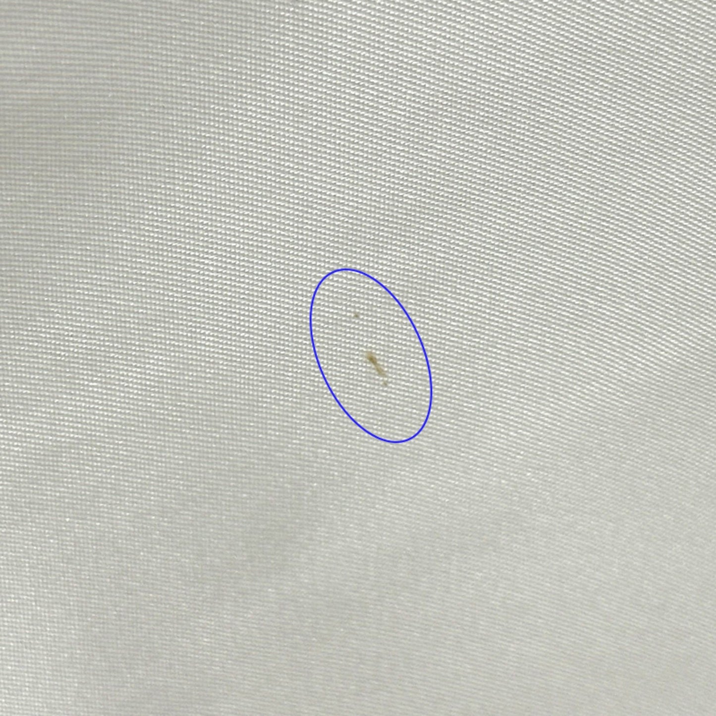 Chanel Beige Nylon Tote Bag (Pre-Owned)