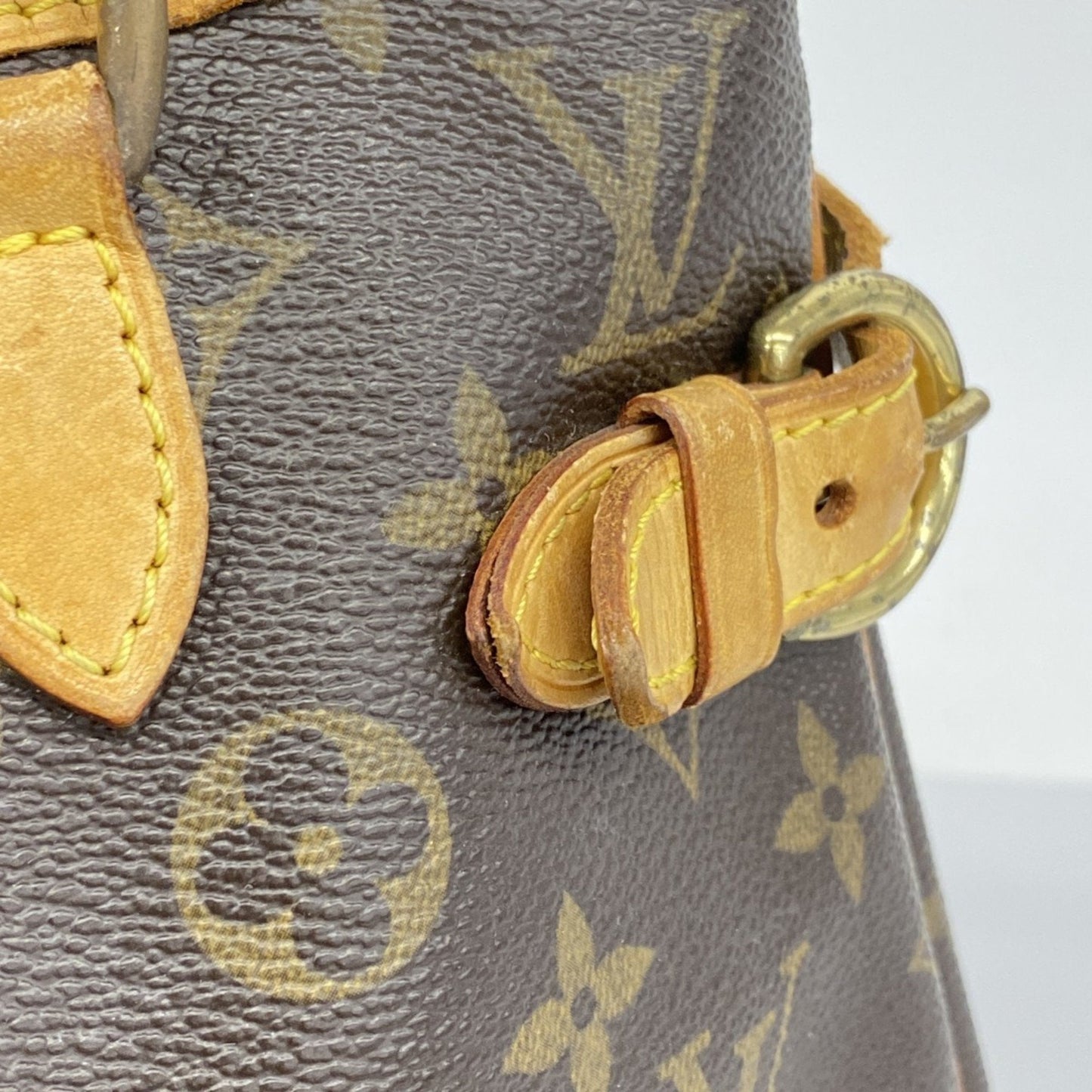 Louis Vuitton Brown Tote Bag (Pre-Owned)