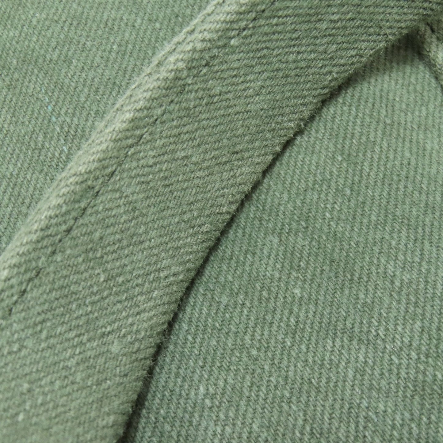 Chloé Green Canvas Tote Bag (Pre-Owned)