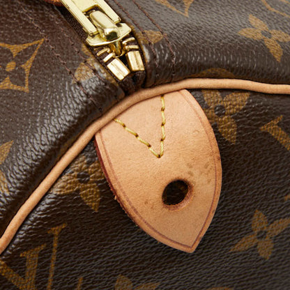 Louis Vuitton Brown Pvc Leather Handbag (Pre-Owned)