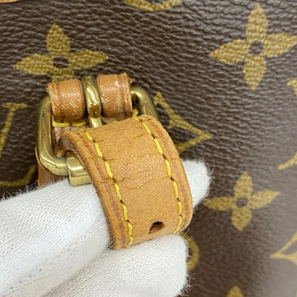 Louis Vuitton Brown Tote Bag (Pre-Owned)