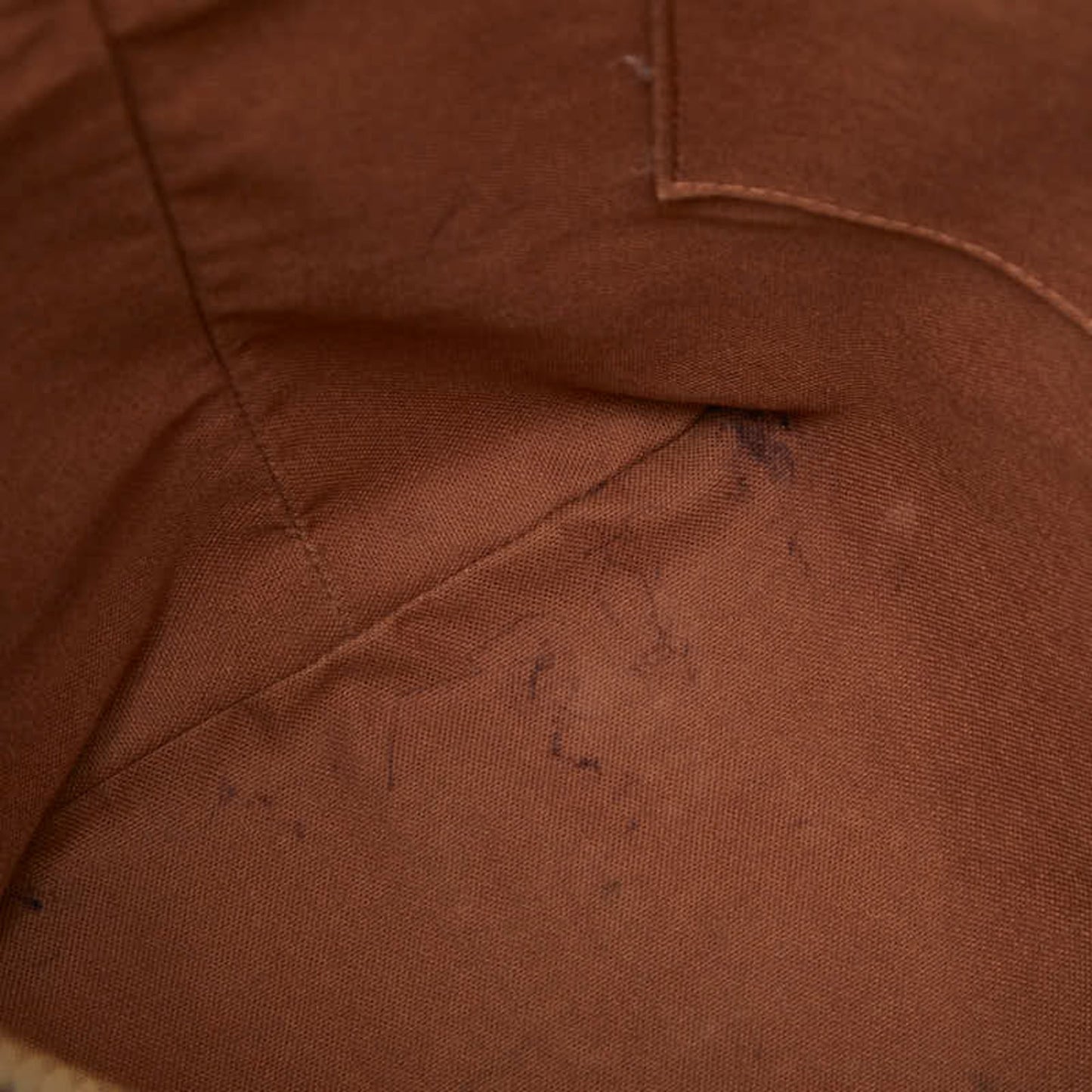 Louis Vuitton Brown Pvc Leather Shoulder Bag Tote Bag (Pre-Owned)