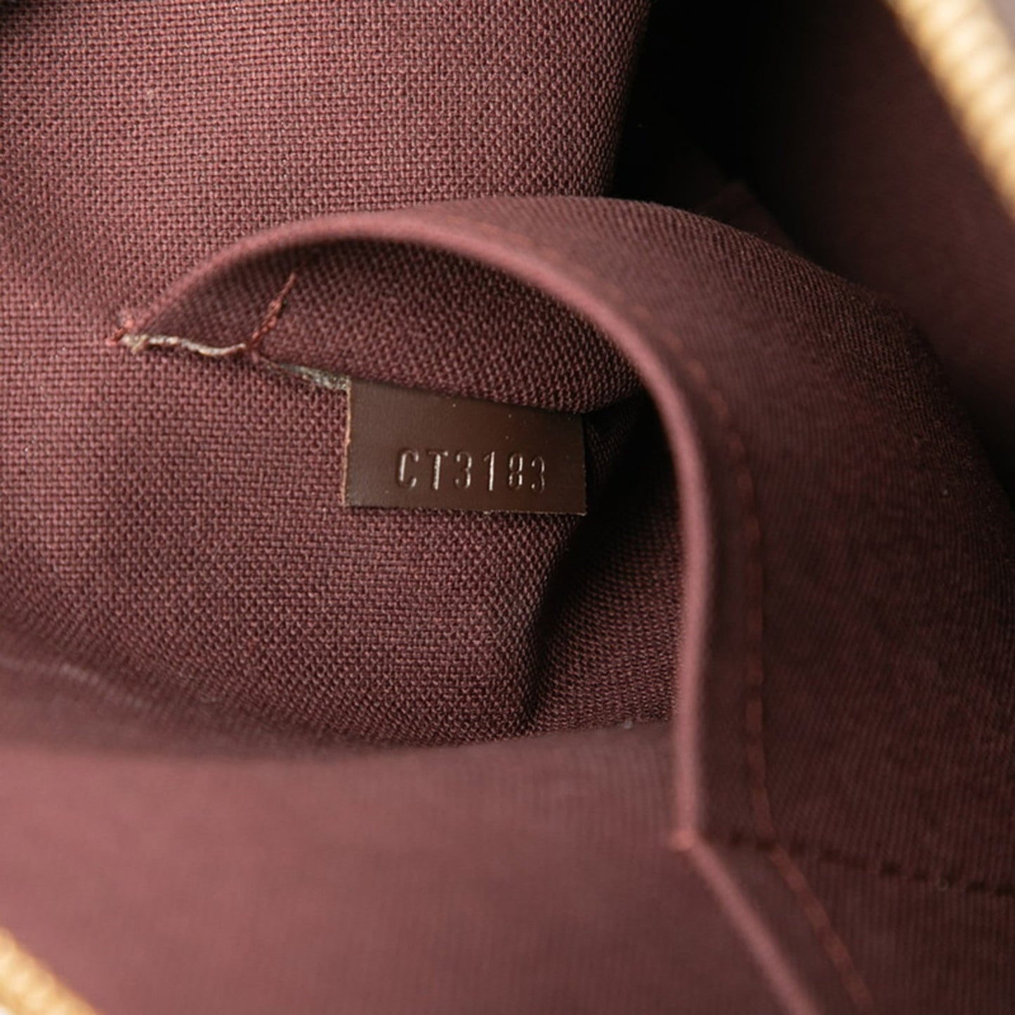 Louis Vuitton Brown Pvc Leather Handbag (Pre-Owned)