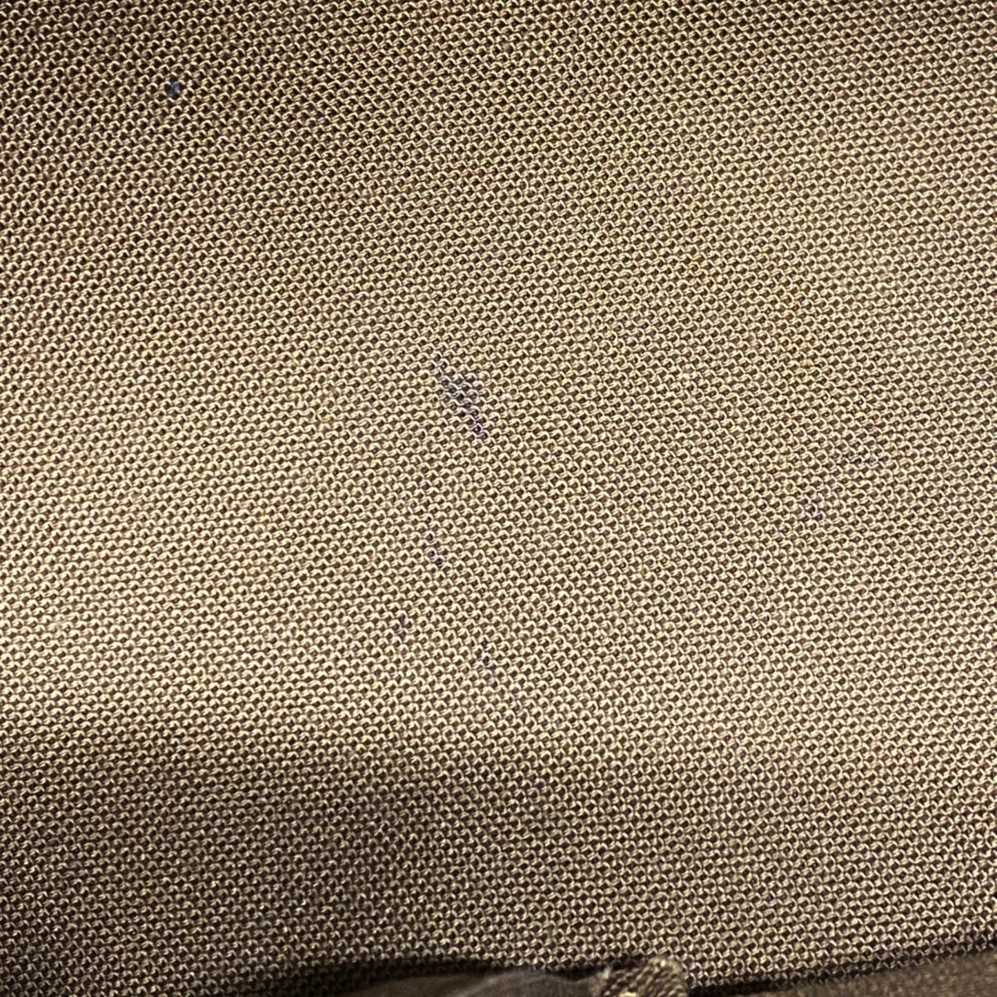 Louis Vuitton Brown Tote Bag (Pre-Owned)