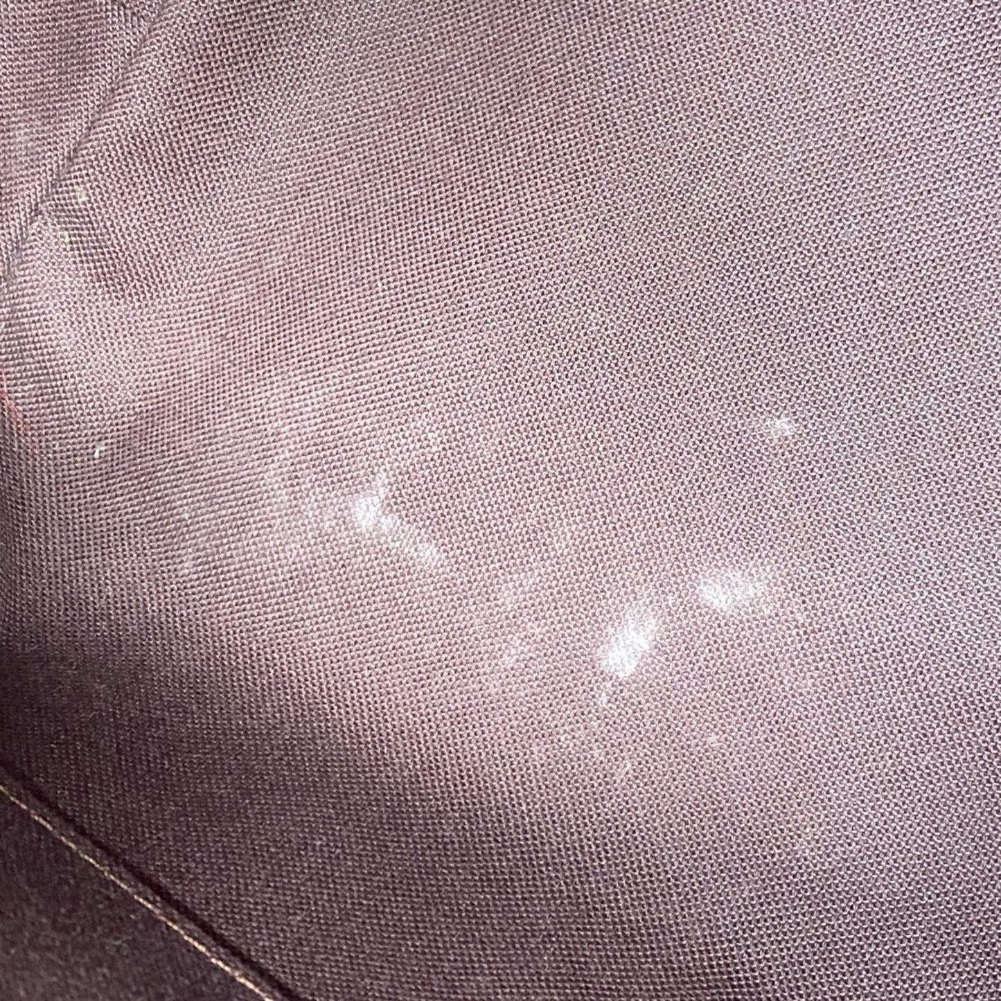 Louis Vuitton Brown Handbag (Pre-Owned)