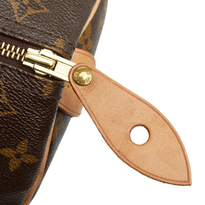 Louis Vuitton Brown Pvc Leather Handbag (Pre-Owned)