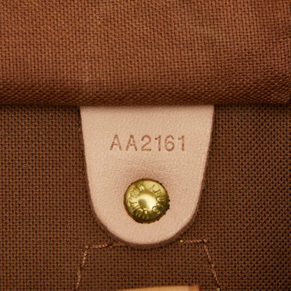 Louis Vuitton Brown Pvc Leather Handbag (Pre-Owned)