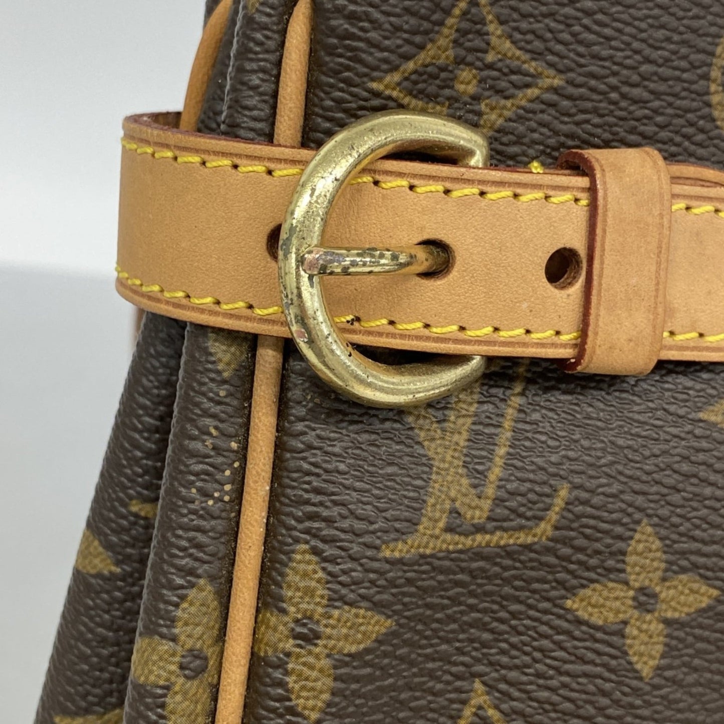 Louis Vuitton Brown Tote Bag (Pre-Owned)
