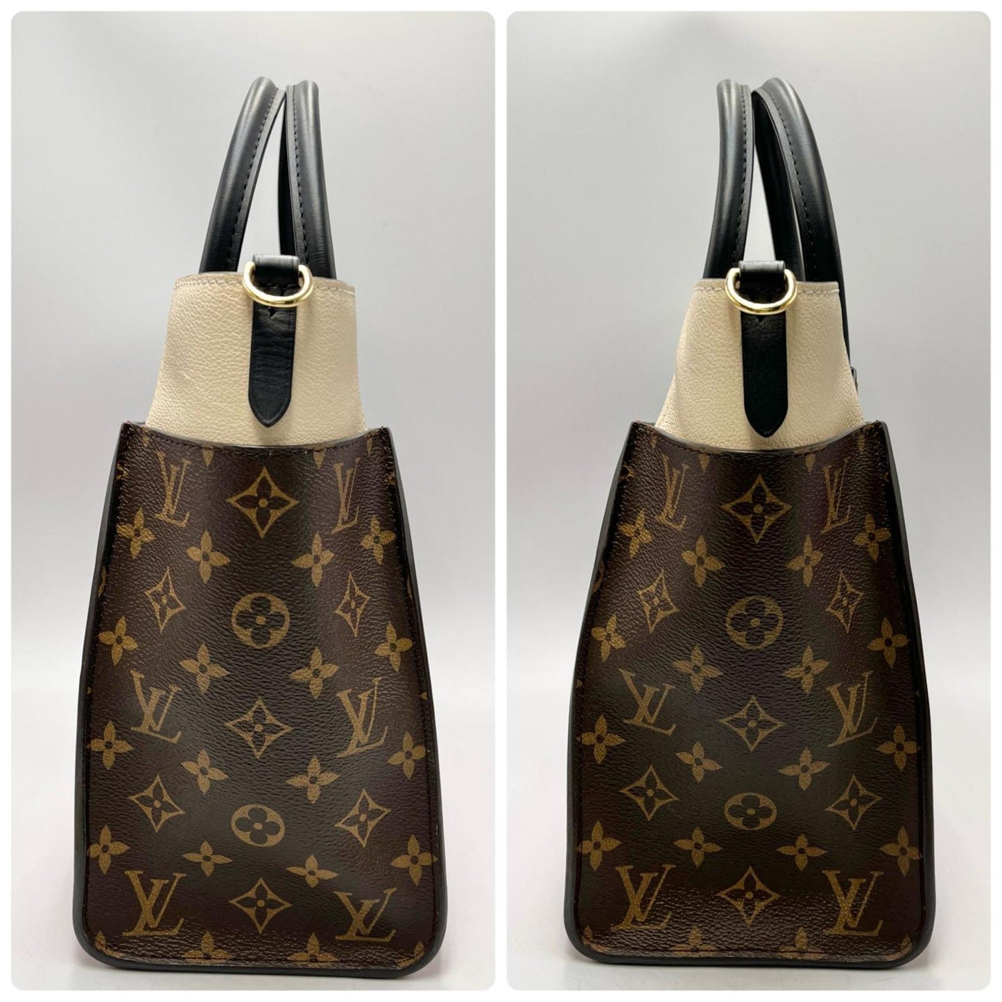 Louis Vuitton Brown Red Color Rouge Monogram Leather Handbag (Pre-Owned)