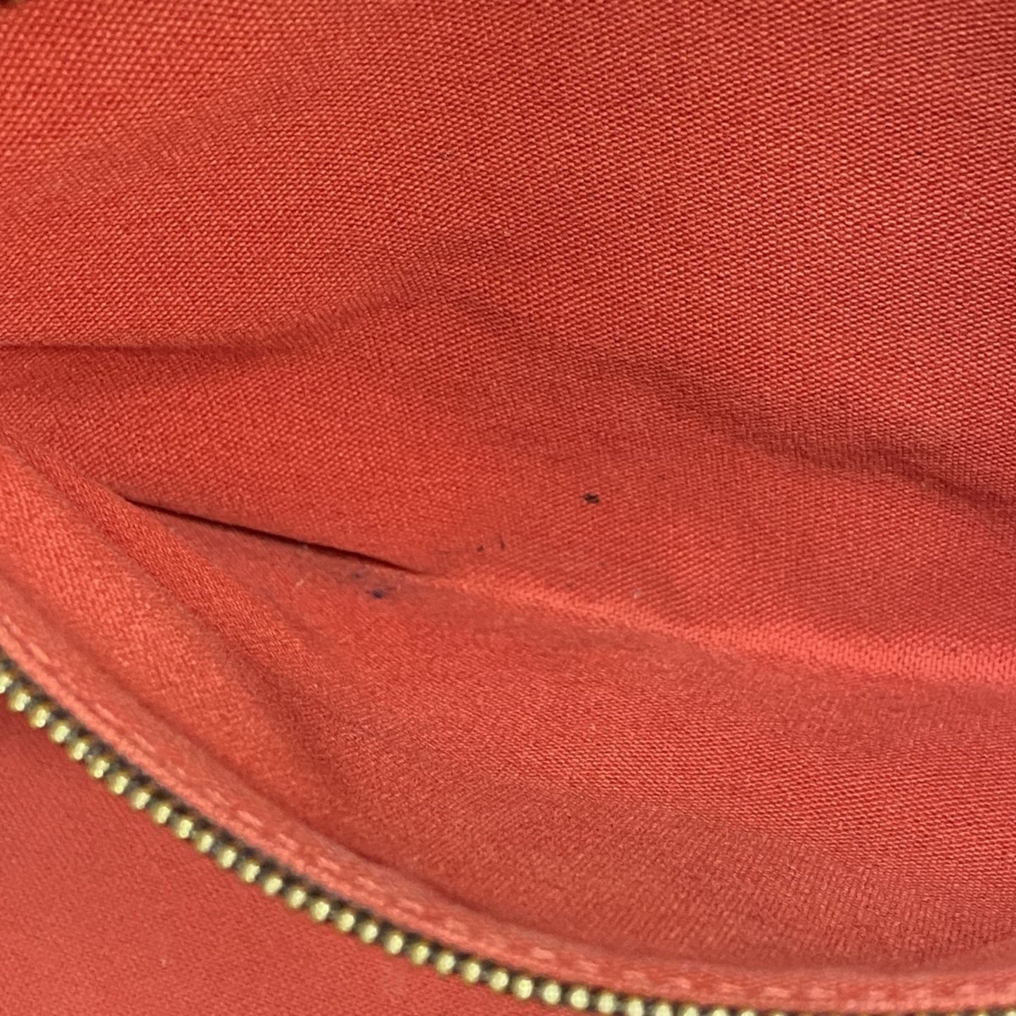 Louis Vuitton Ebene Tote Bag (Pre-Owned)