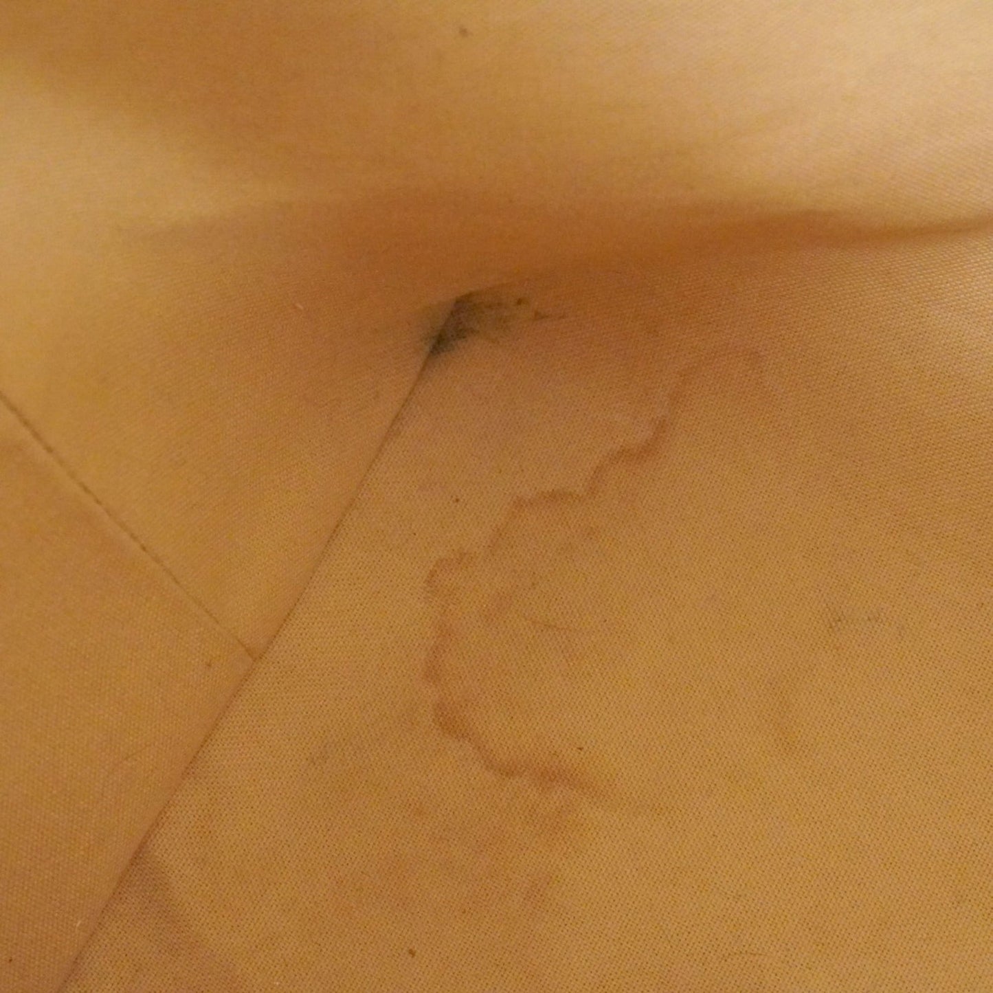 Louis Vuitton White Tote Bag (Pre-Owned)