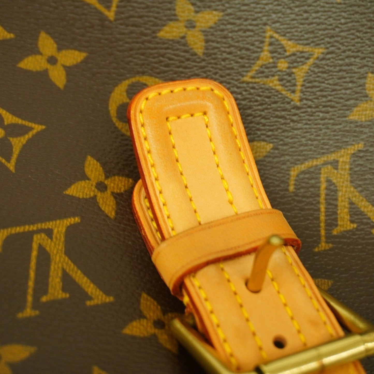 Louis Vuitton Brown Tote Bag (Pre-Owned)