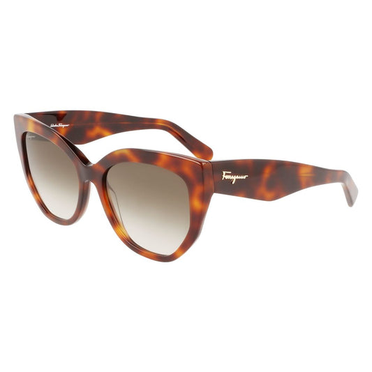 Ferragamo Brown Acetate Women's Sunglasses
