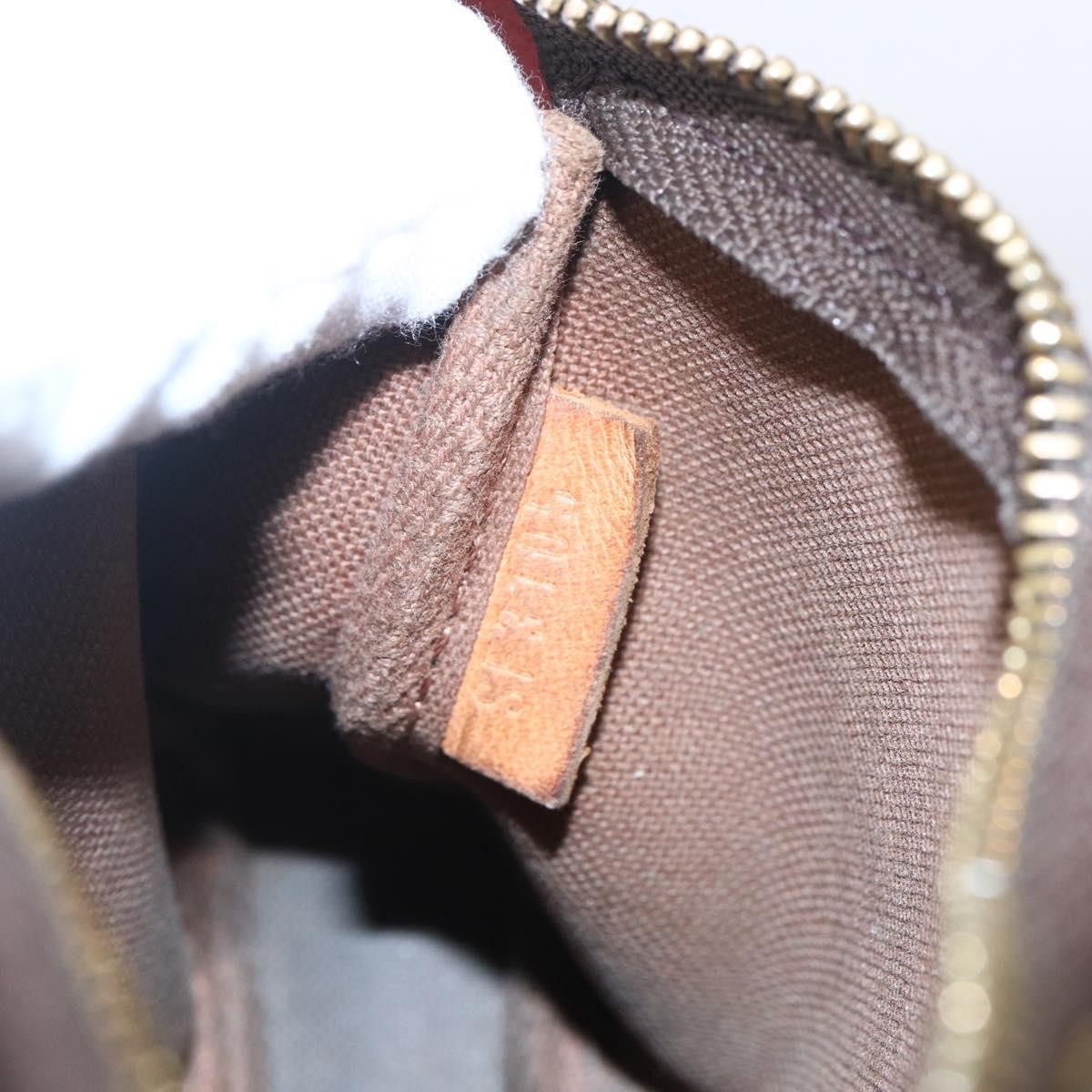 Louis Vuitton Pochette Accessoires Limited Edition Christmas Animation Monogram Canvas Brown Canvas Clutche & Pouche Bag (Pre-Owned)